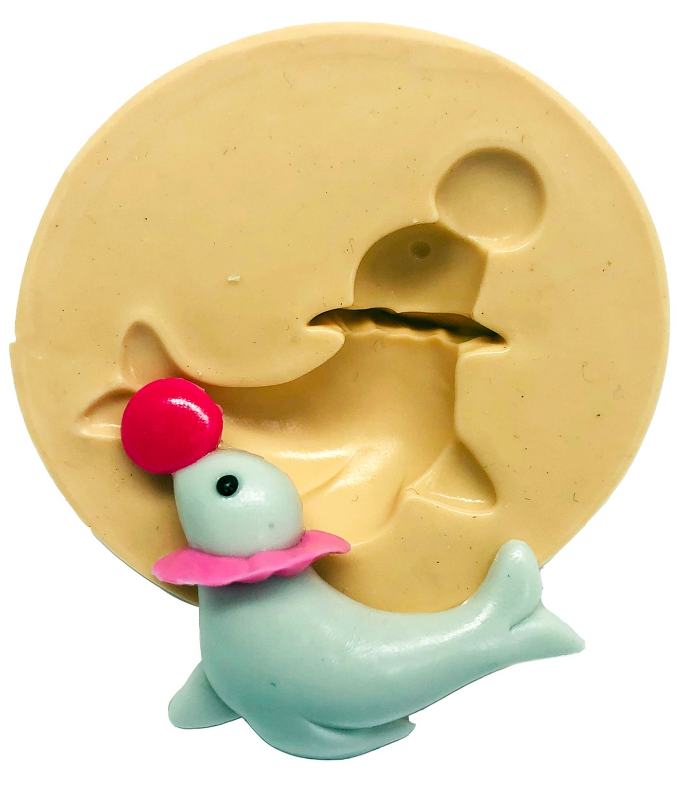 Circo Rosa - Foca - Media - P821