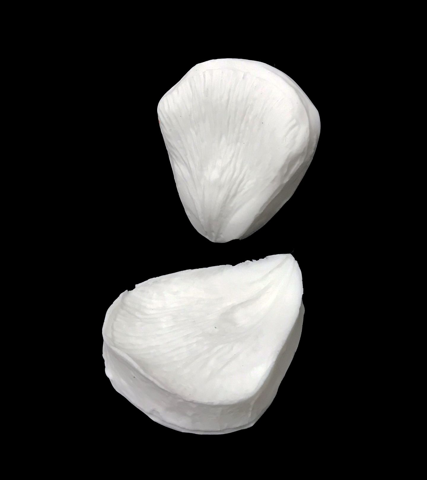 Texturizador - Pétalas Ranunculus - PL001