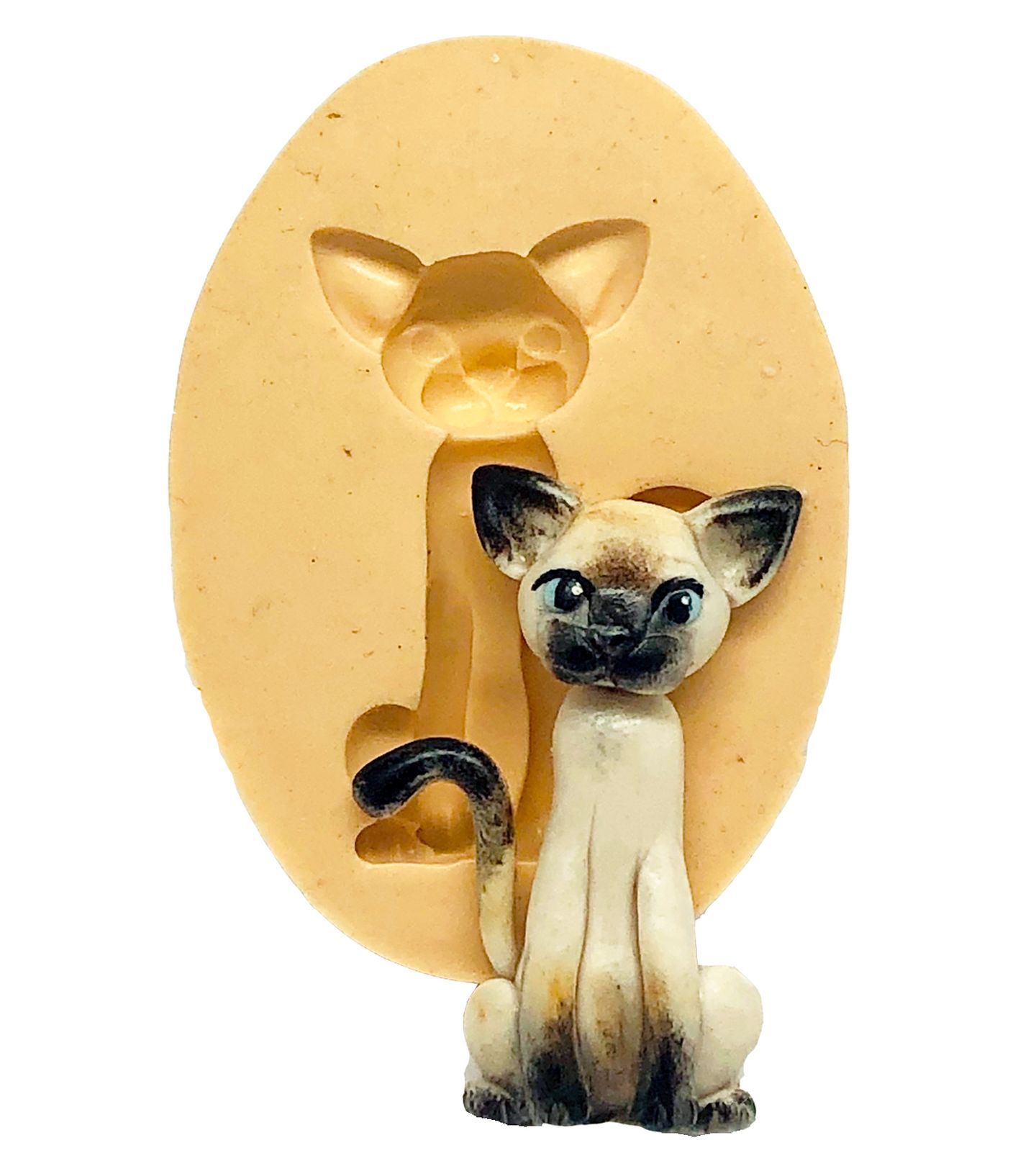 Gato - Siames - Medio - P864