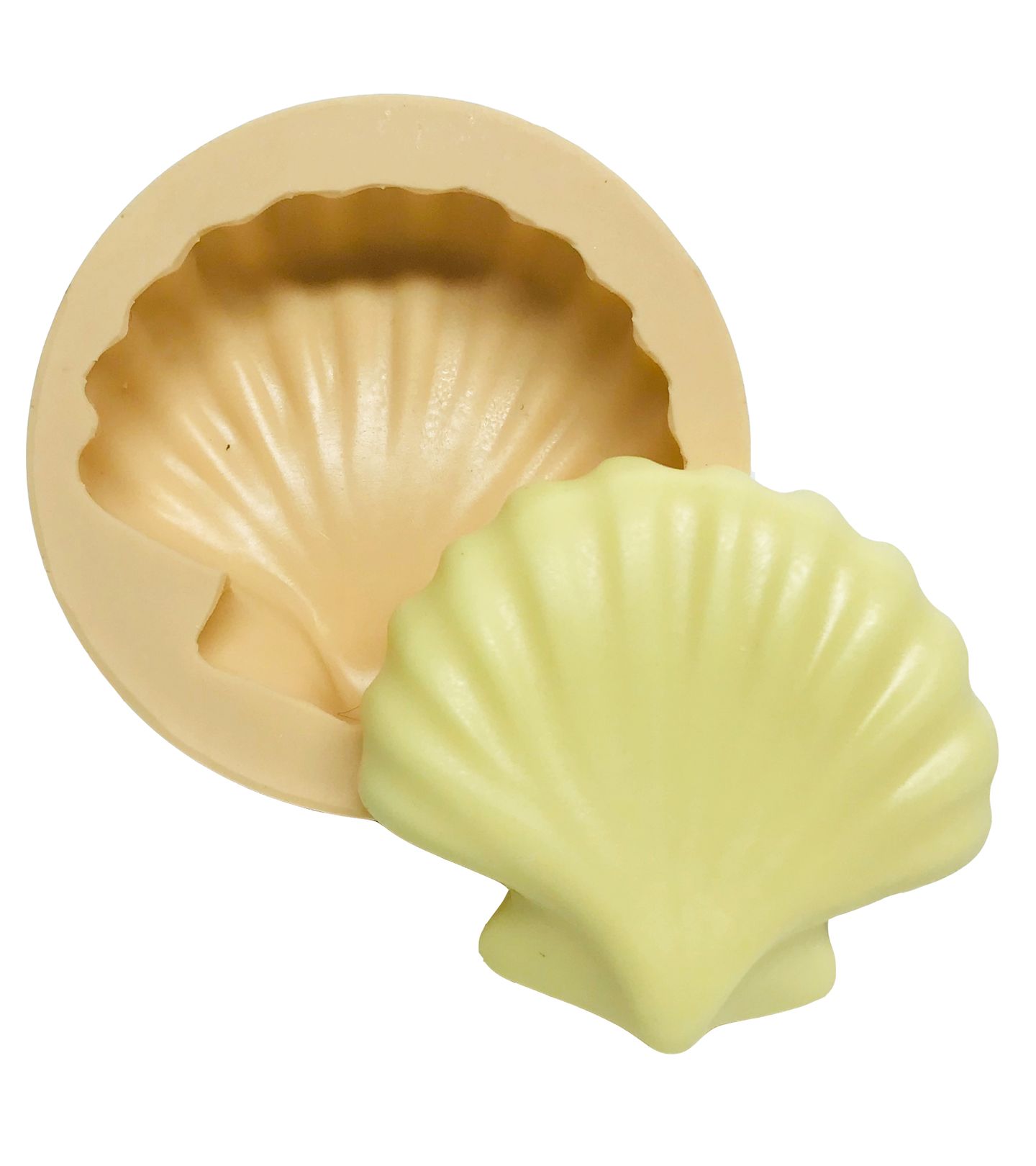 Concha - Grande - P558