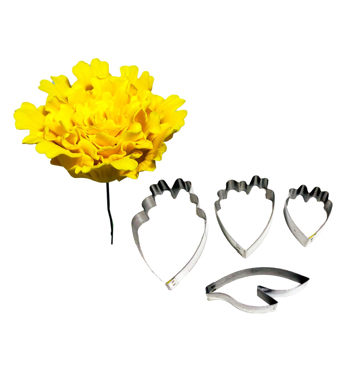 Cortador Aço - Flor - Peonia - Mod.03