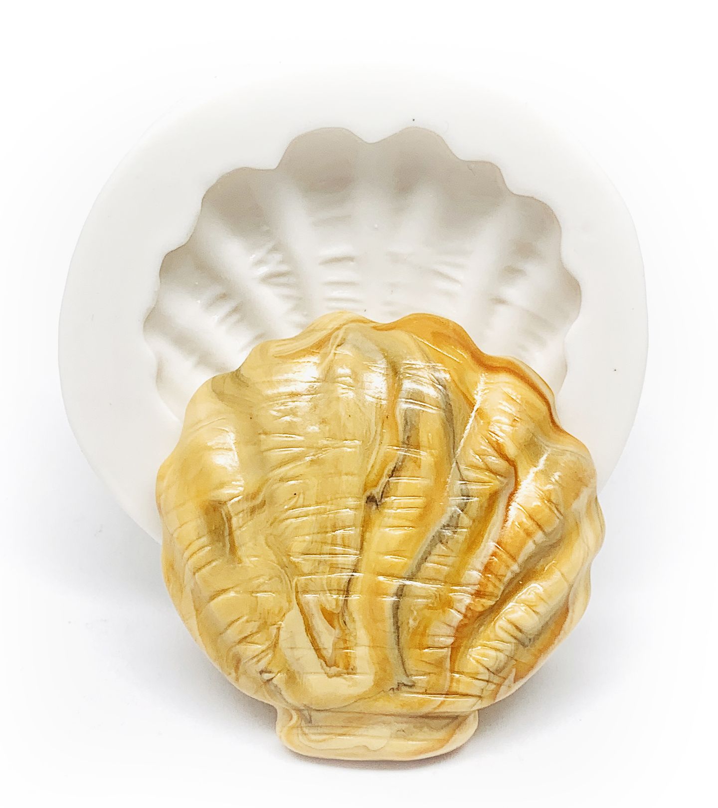 Concha  - Grande - P360