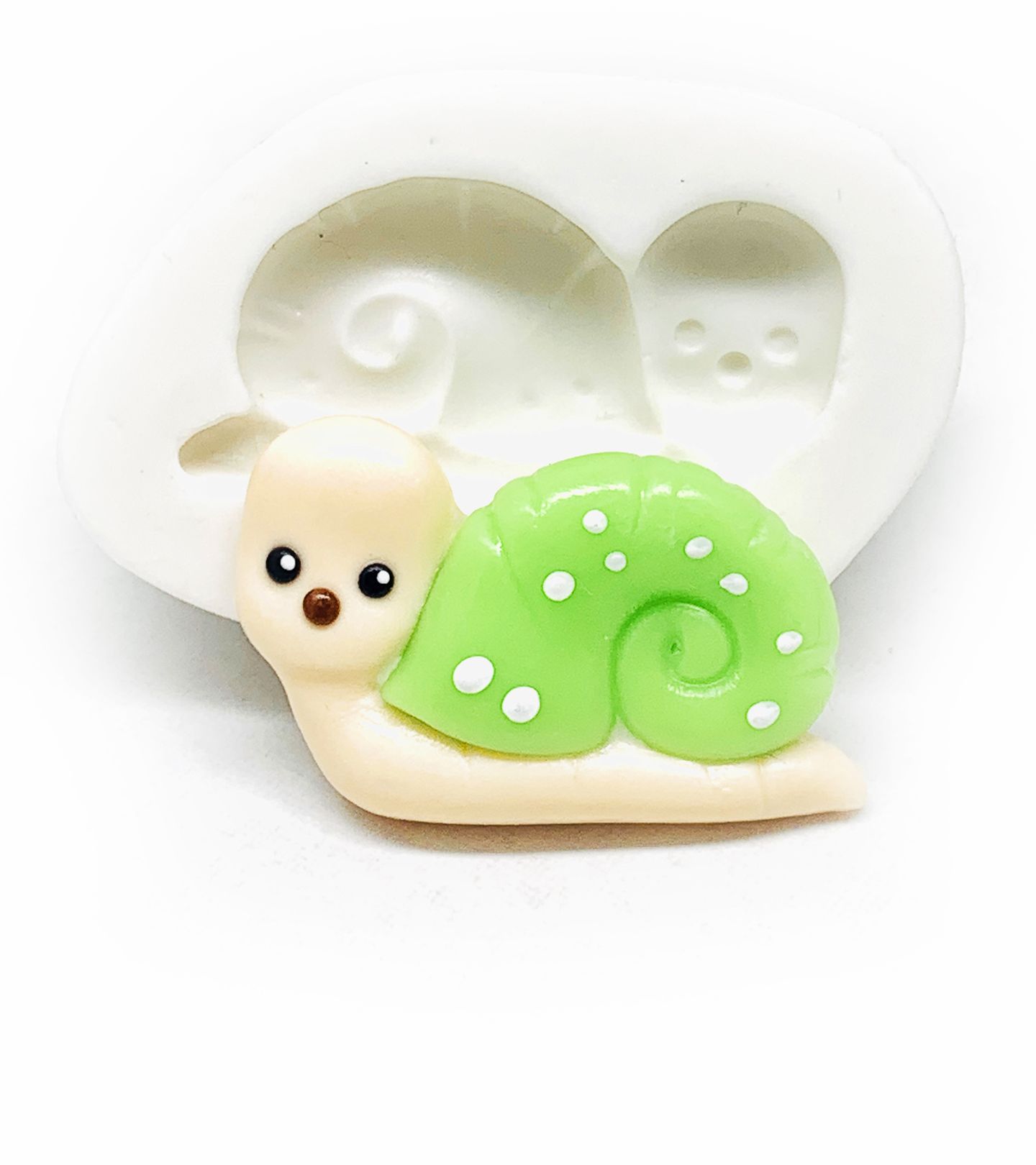 Caracol - Medio - P1160