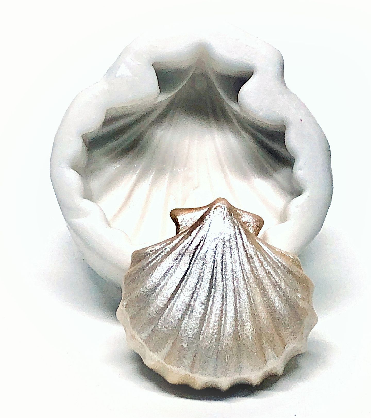 Concha - Media - Mod.02 - P457 / P543