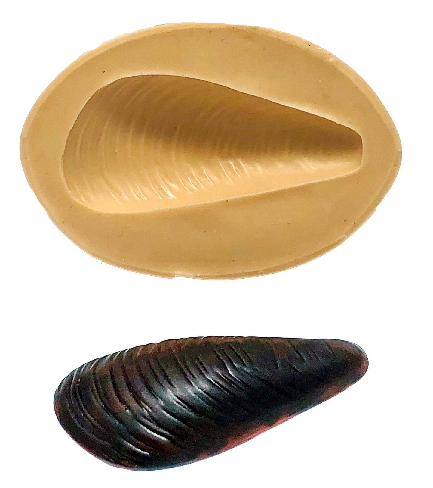 Mar - Mexilião - Medio - P793