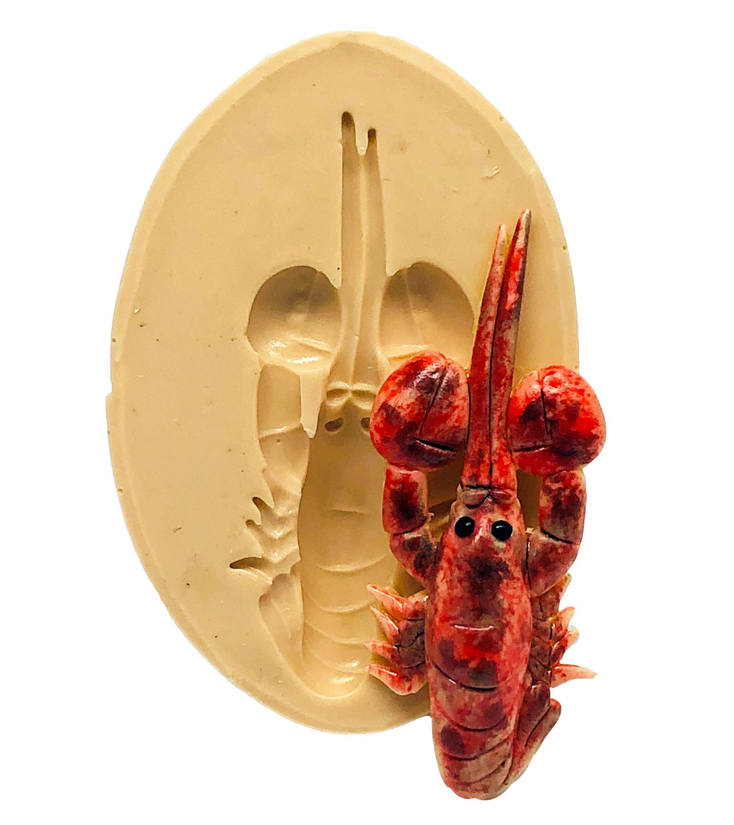 Mar - Lagosta - Pequena - P798