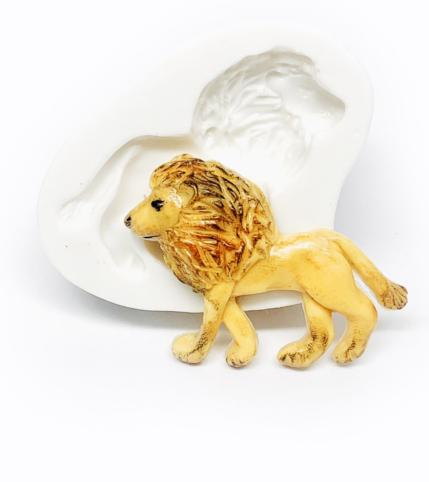 Leao - Pequeno - P1173