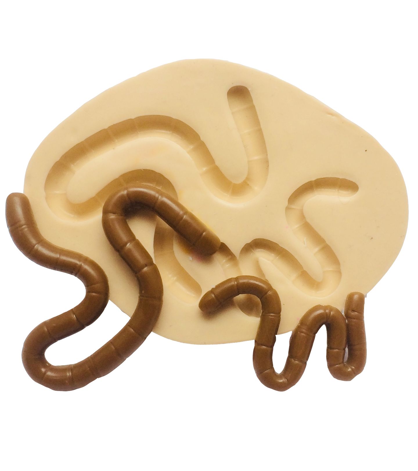 Minhoca - 02 Tamanhos - P212