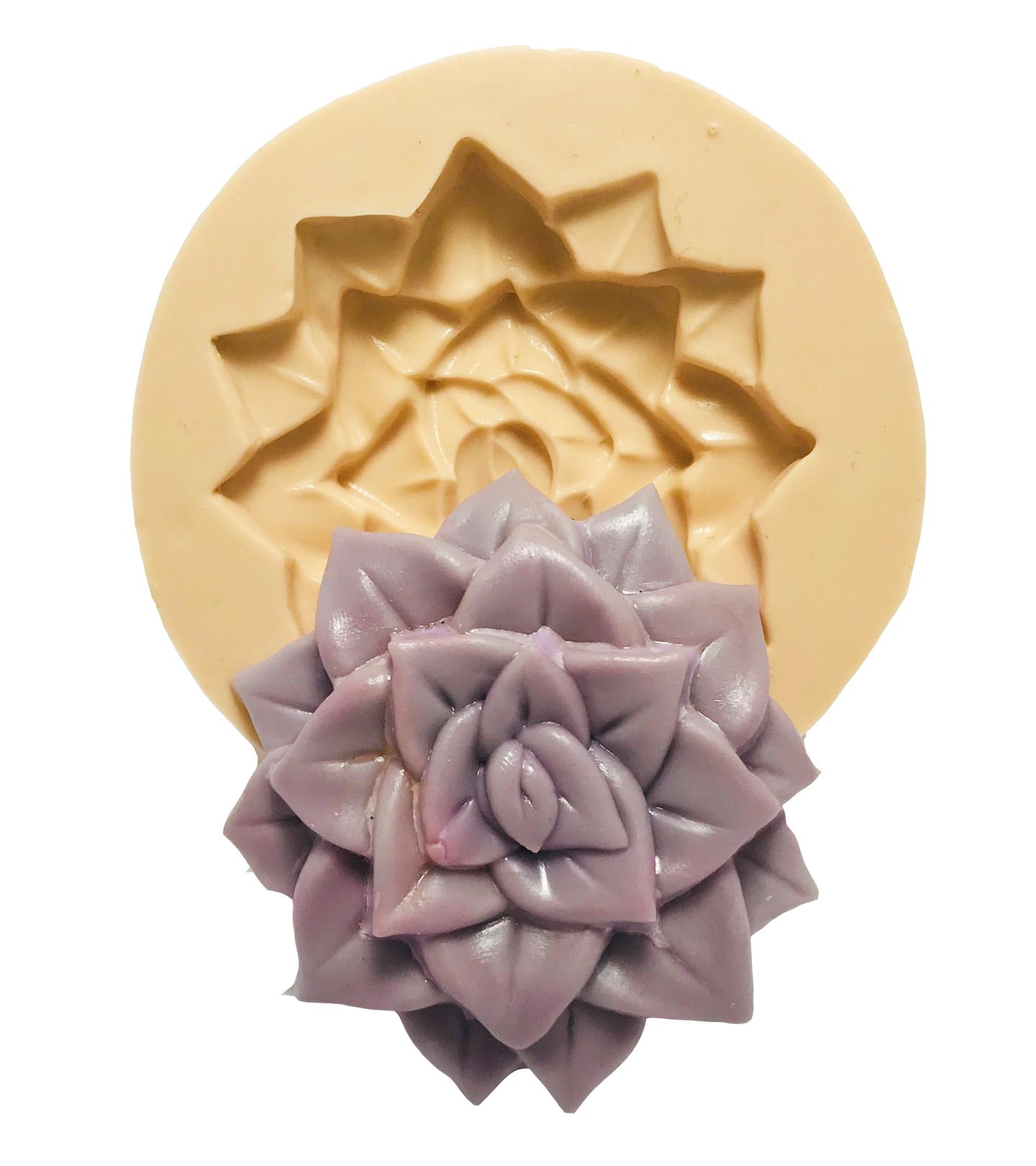 Suculenta - Mod.04 - Grande - P428