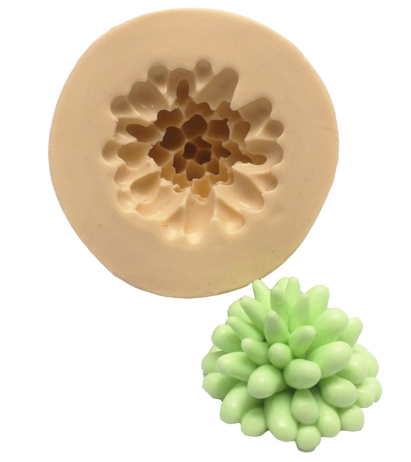 Suculenta - Grande - Mod.01