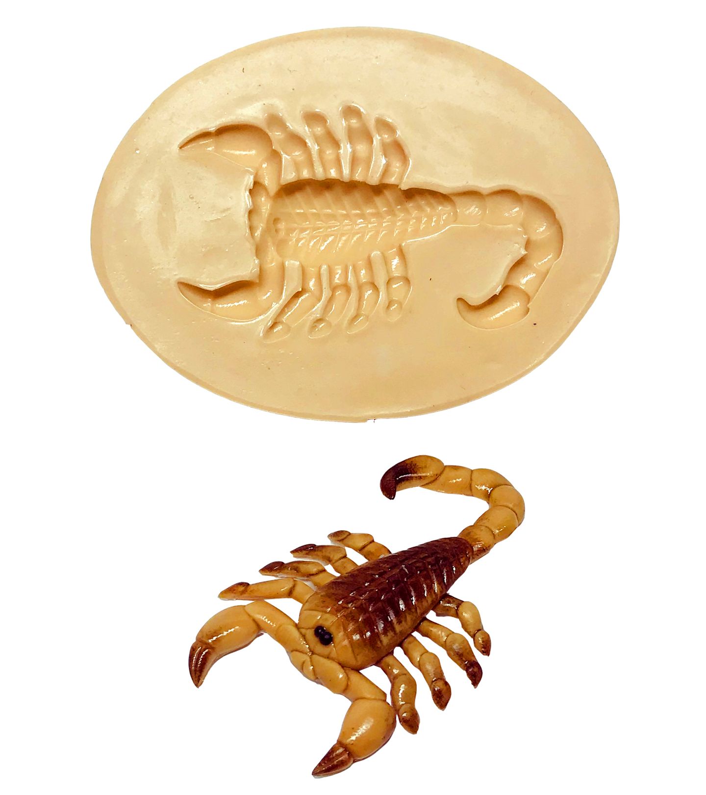 Escorpião - Medio - P615