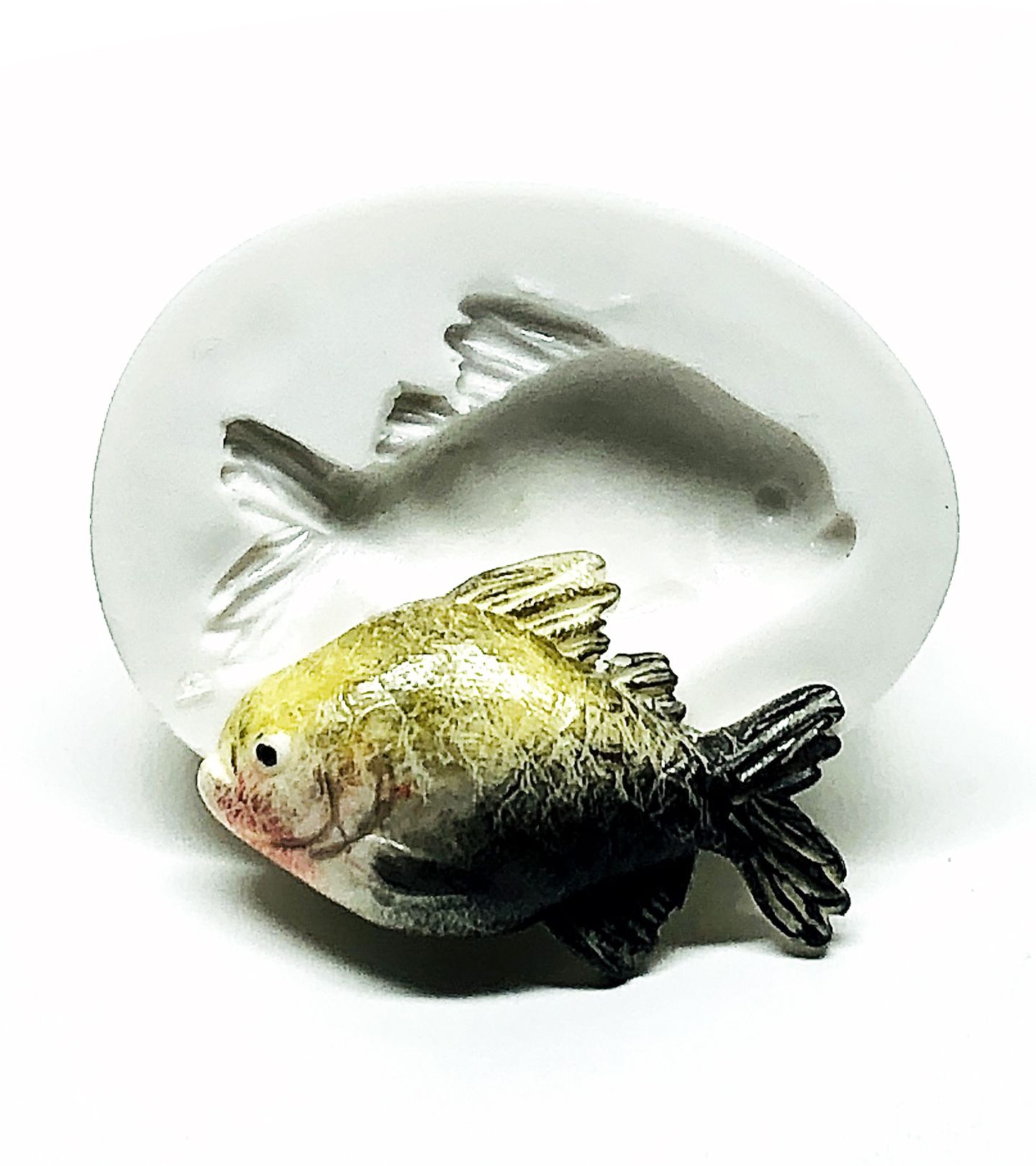 Peixe - Tambaqui - Pequeno - P1002