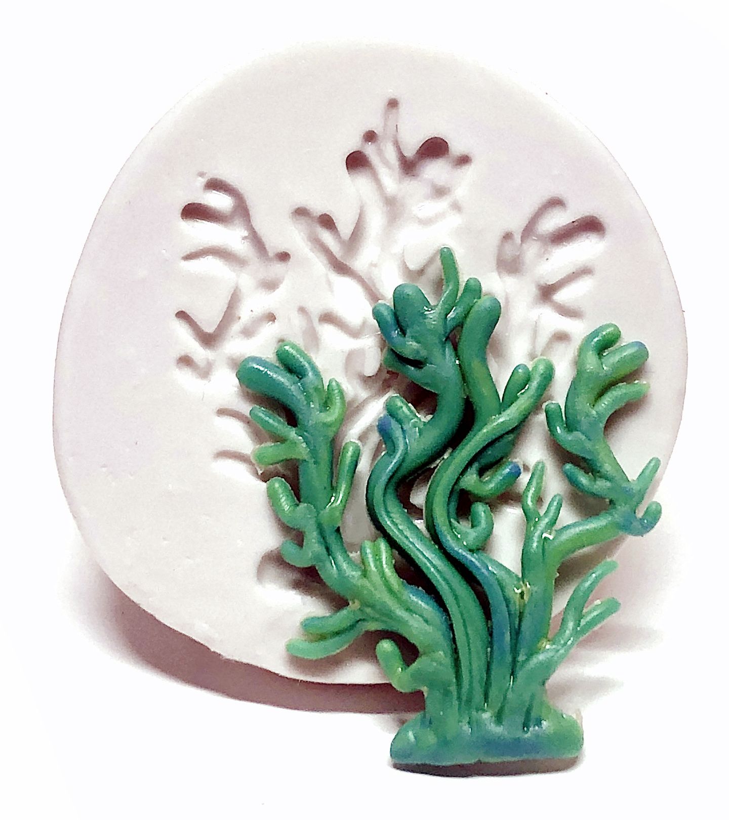 Alga Marinha - Media - P407