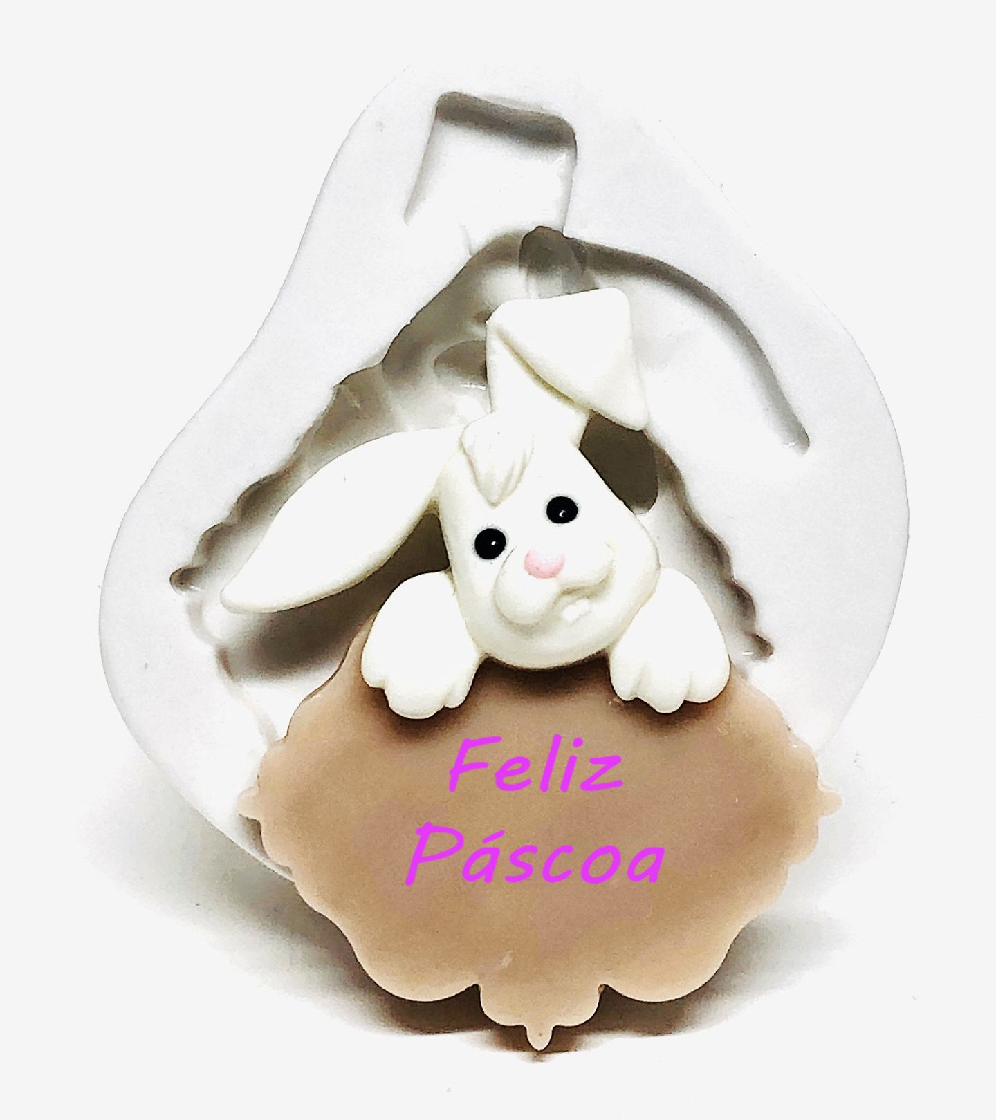 Coelho - Na Placa - Medio - P1073