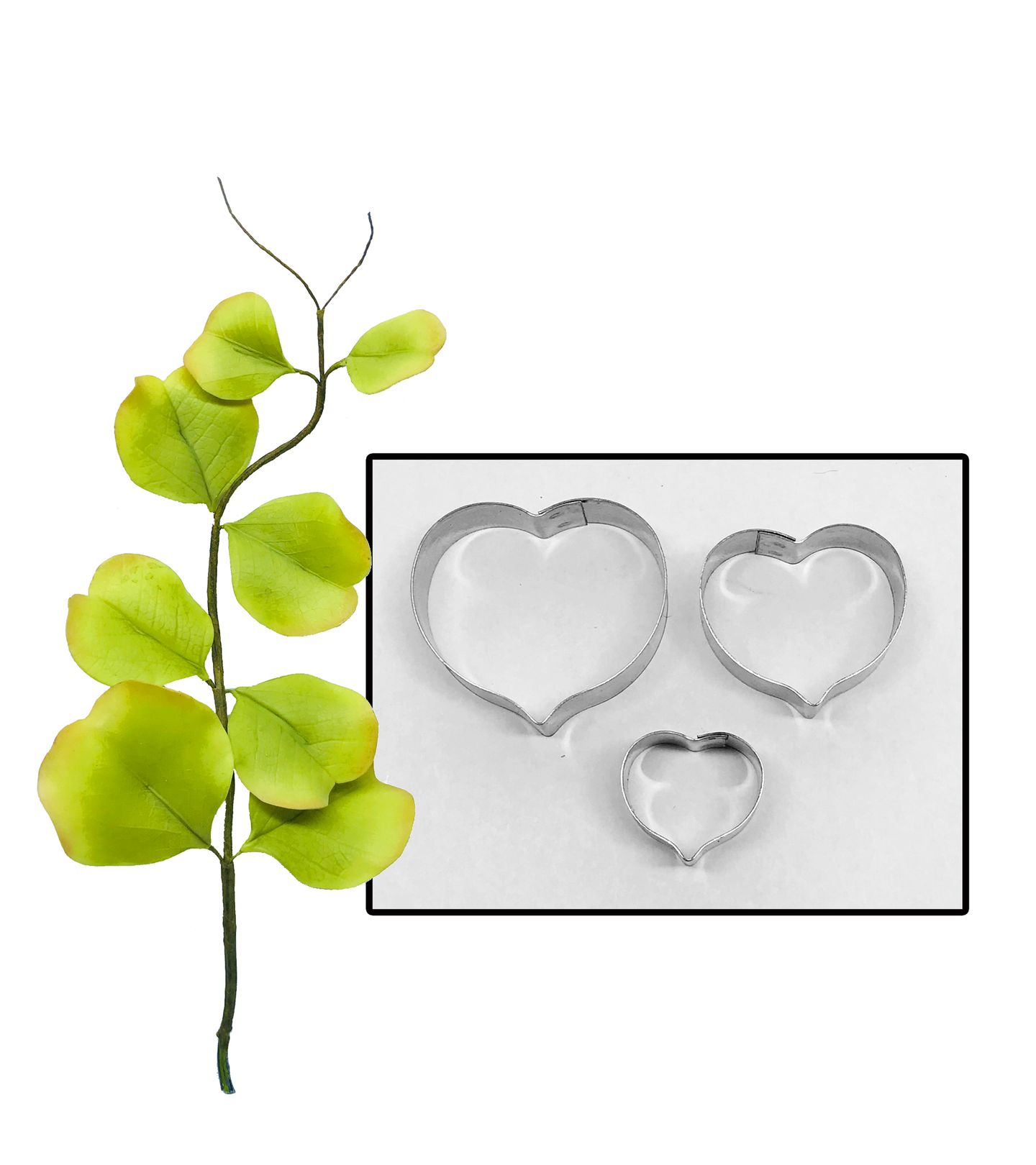 Cortador Aço - Flor - Folha Eucalipto