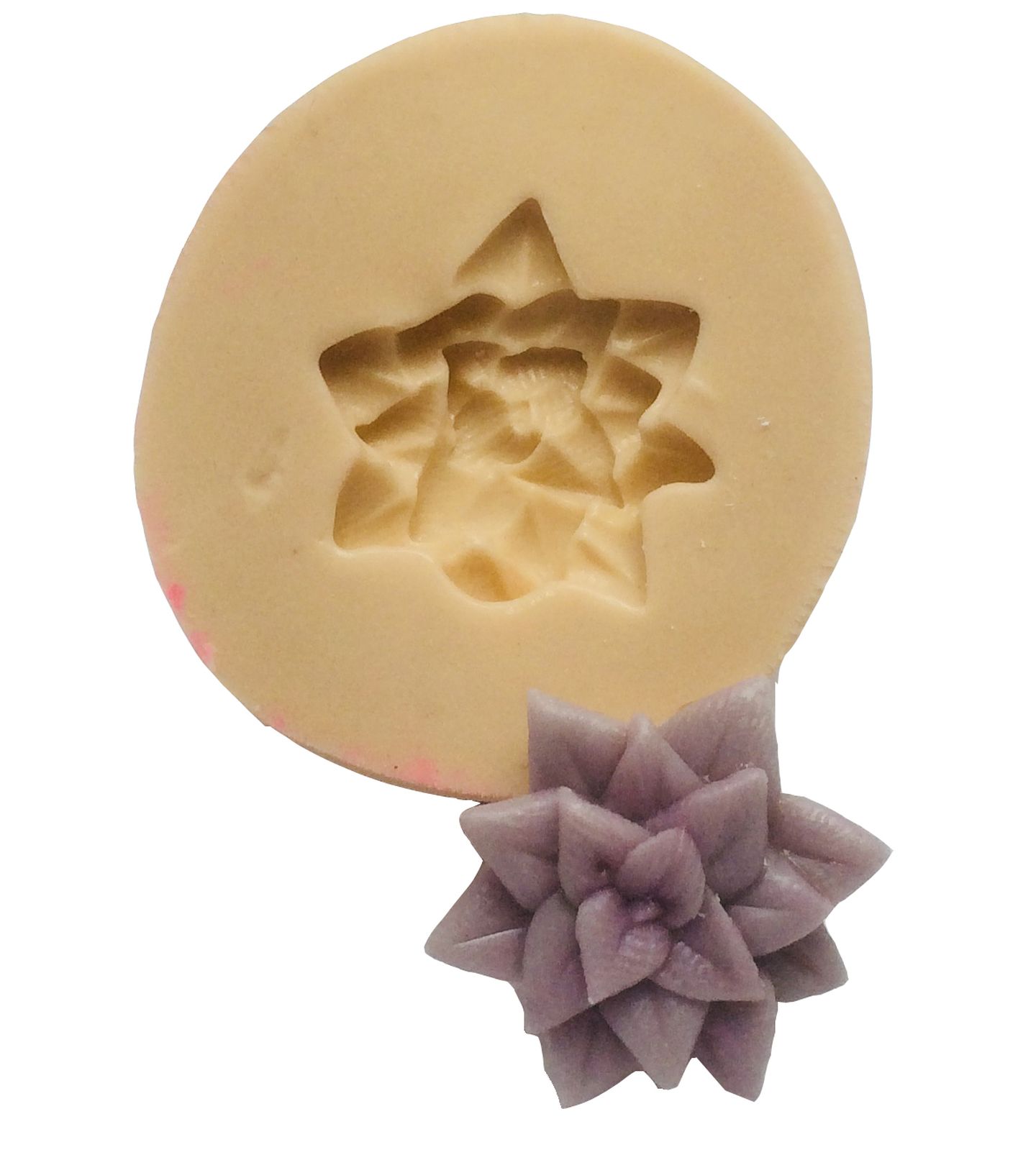 Suculenta - Mod.04 - Pequena - P394