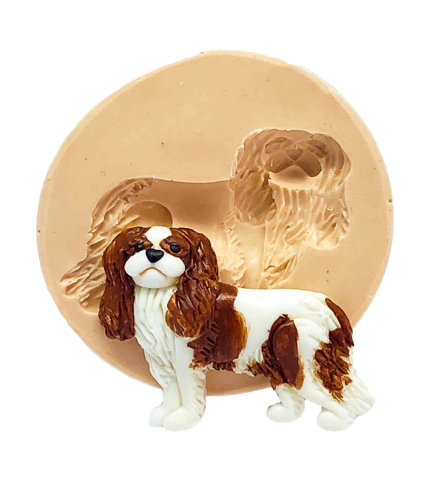 Cachorro - Cavalier - Medio - P775