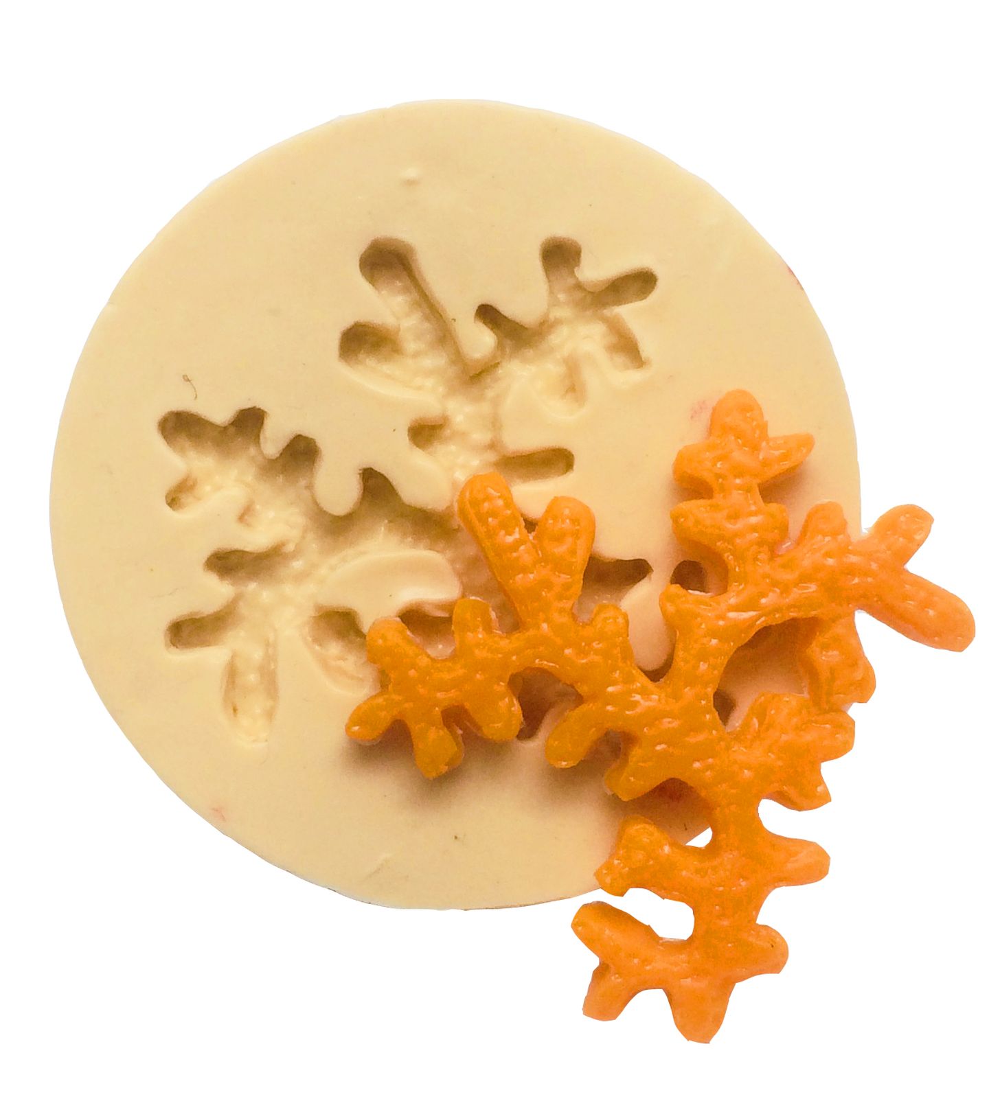 Algas - Media - P358