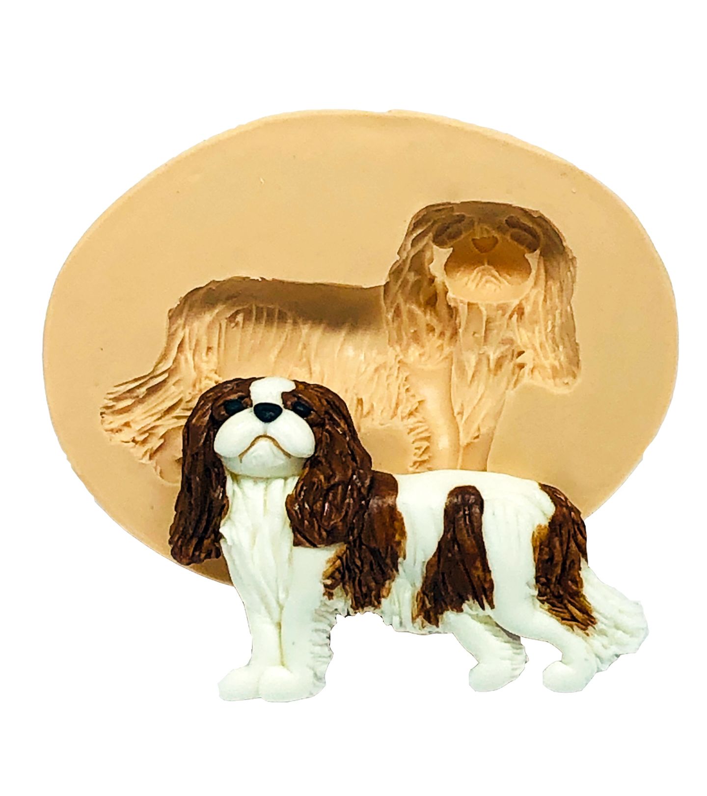 Cachorro - Cavalier - Grande - P792