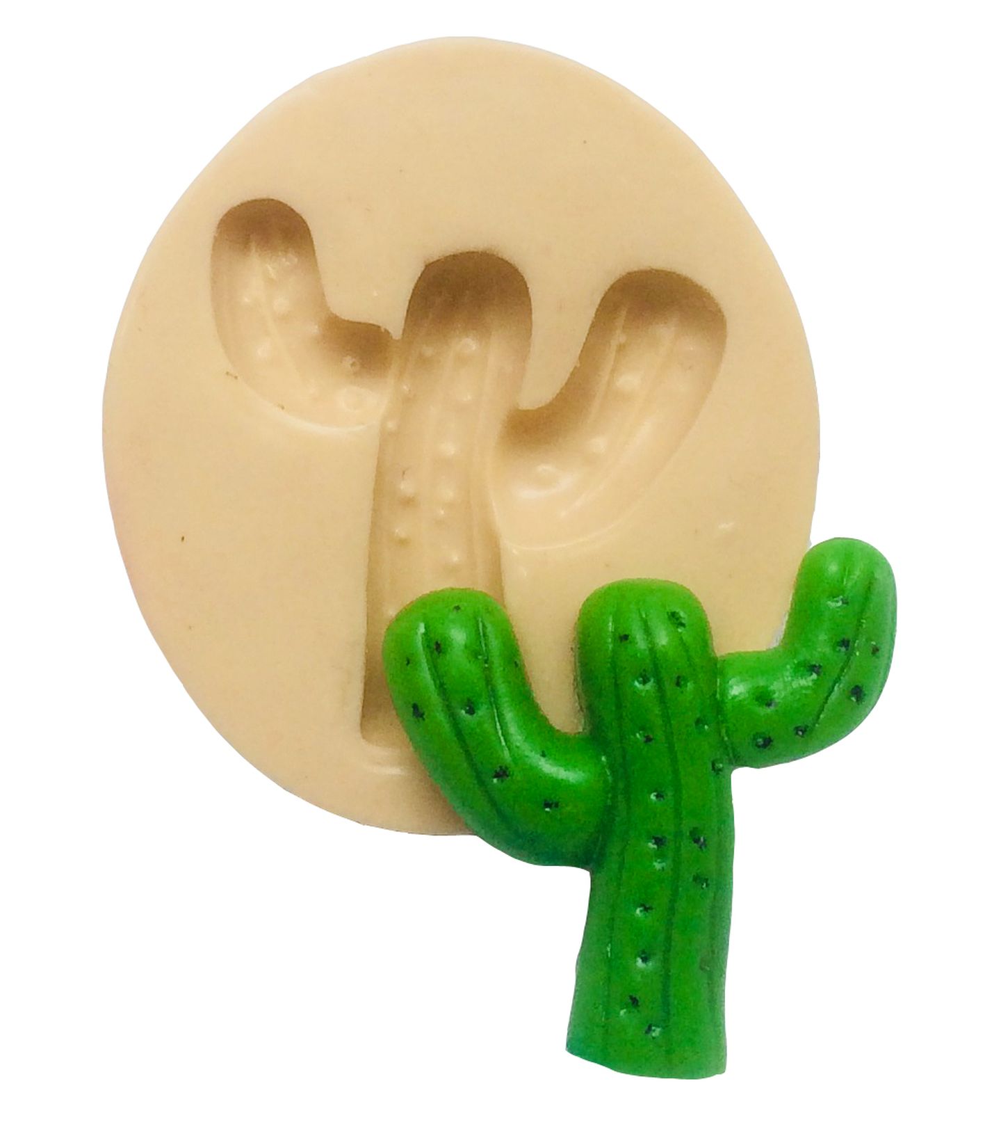 Cactus - Pequeno - P199