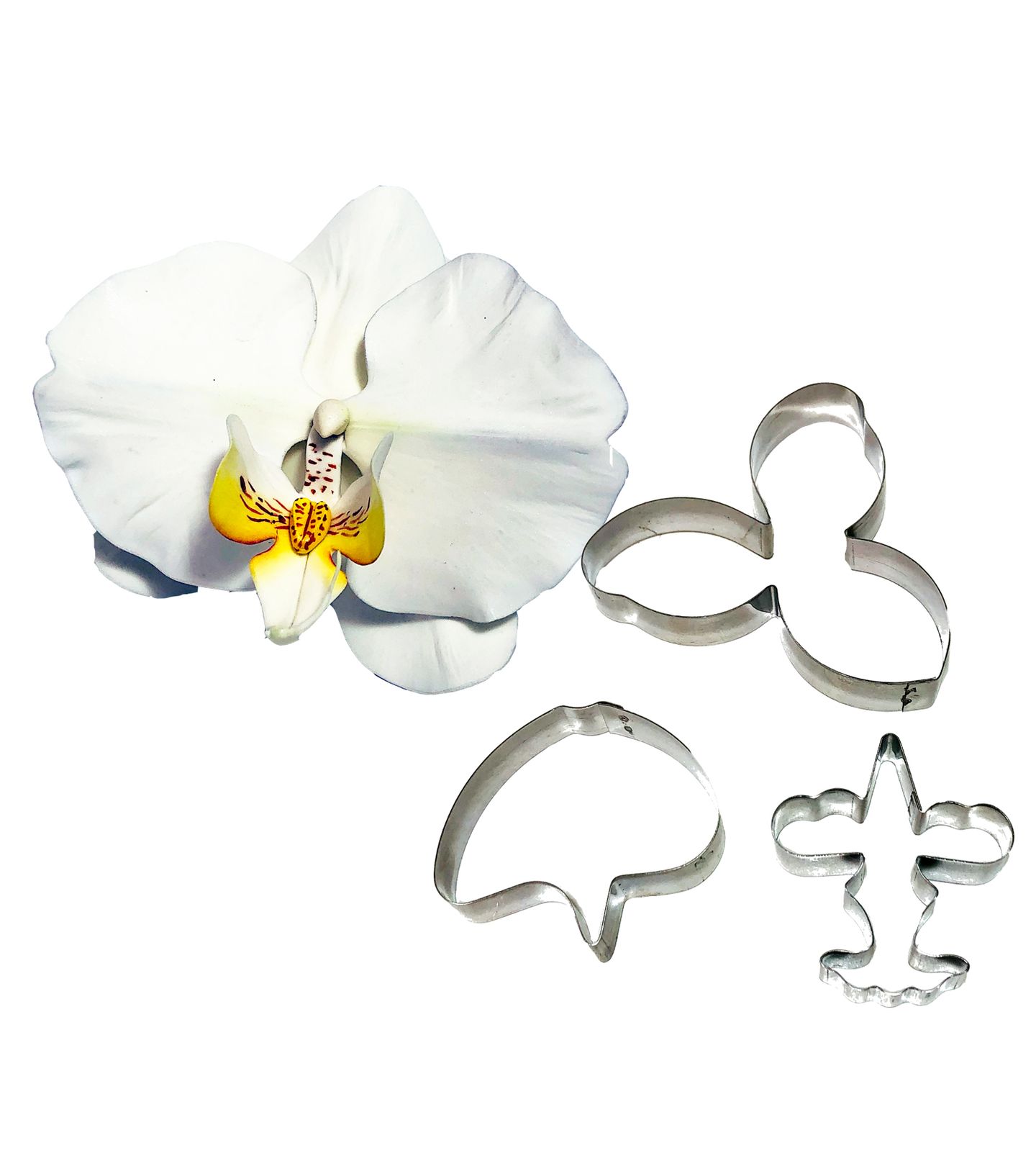 Cortador Aço - Flor - Orquidea Falenopsis - Mod..01