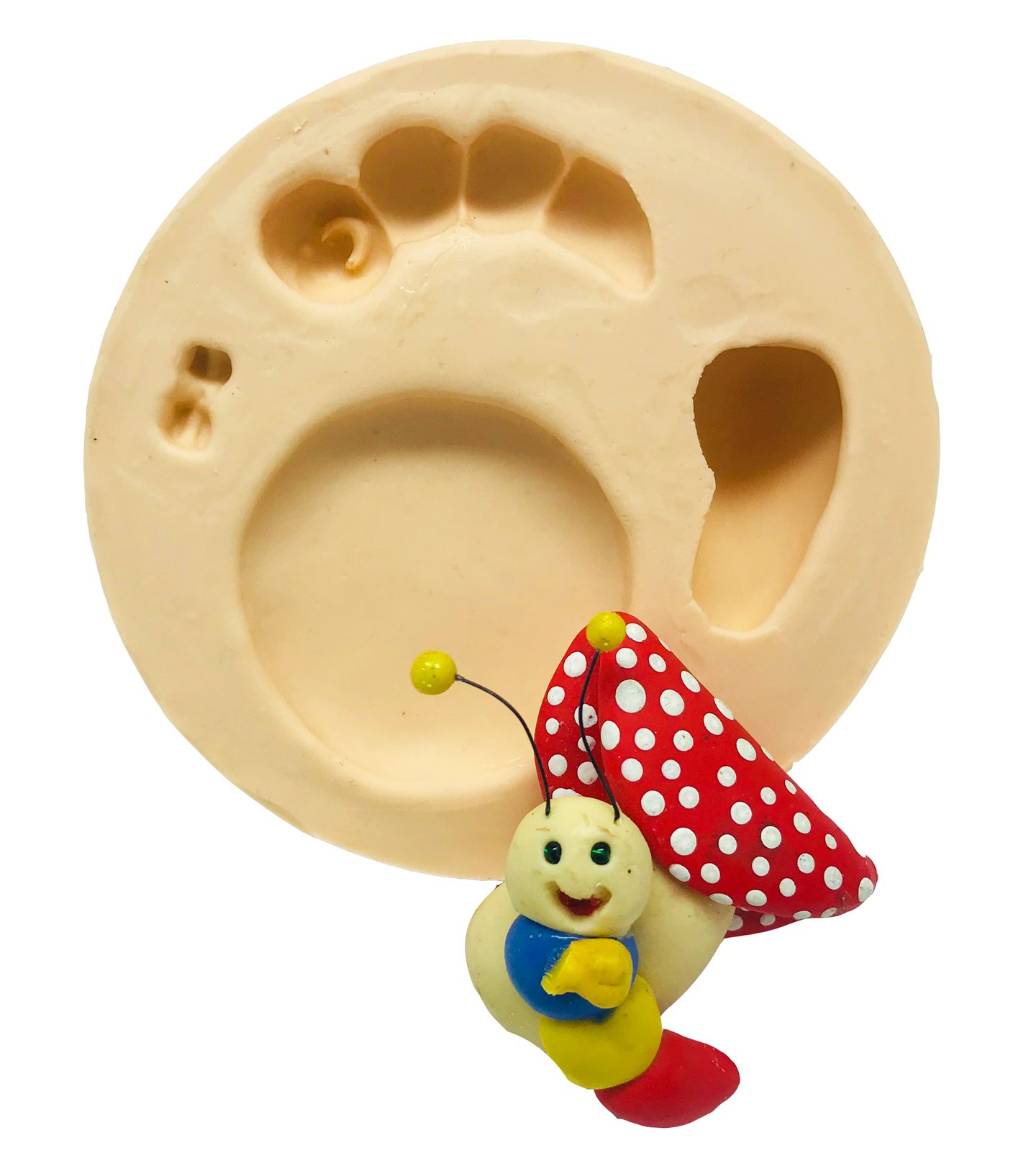 Cogumelo e Centopeia