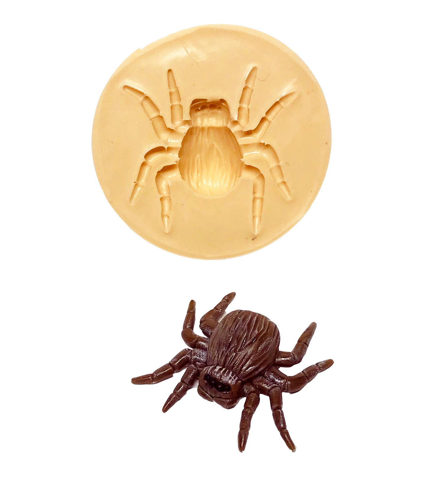 Aranha - Media - P615