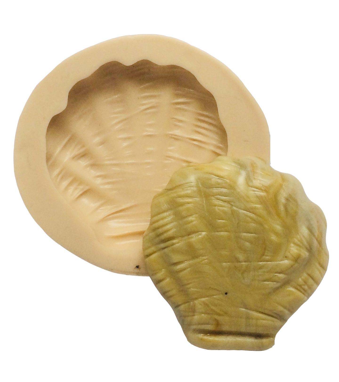 Concha - Media - P358