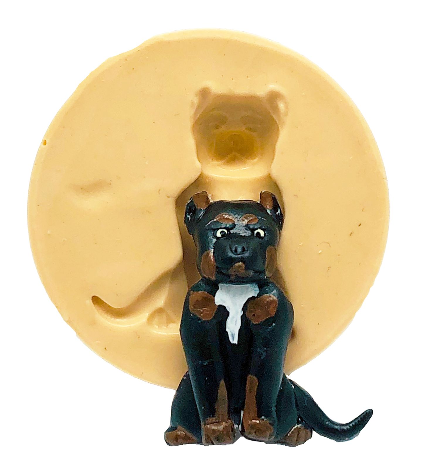 Cachorro - Pitbull - Pequeno - 850