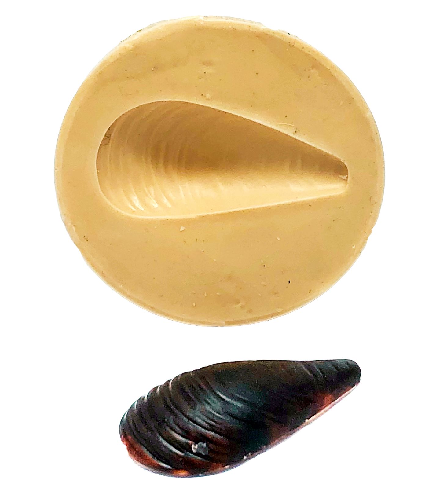 Mar - Mexilião - Pequeno  - P781