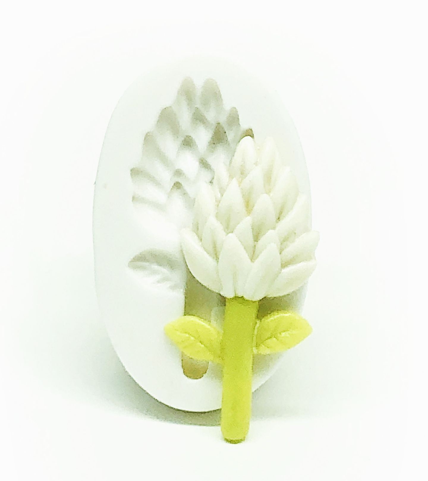 Flor de Abacaxi - Media - P1129