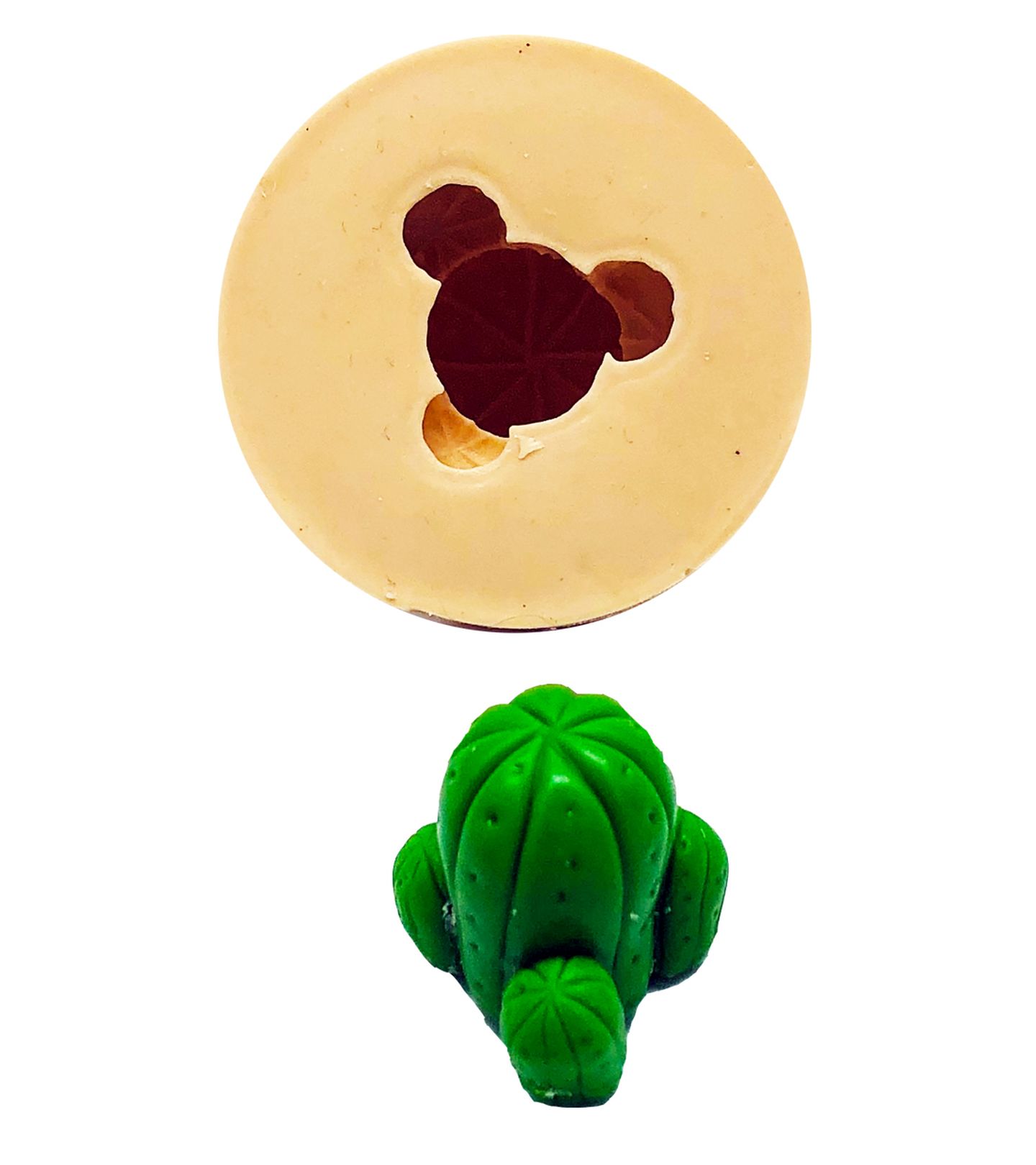 Cactus V - Medio - P856