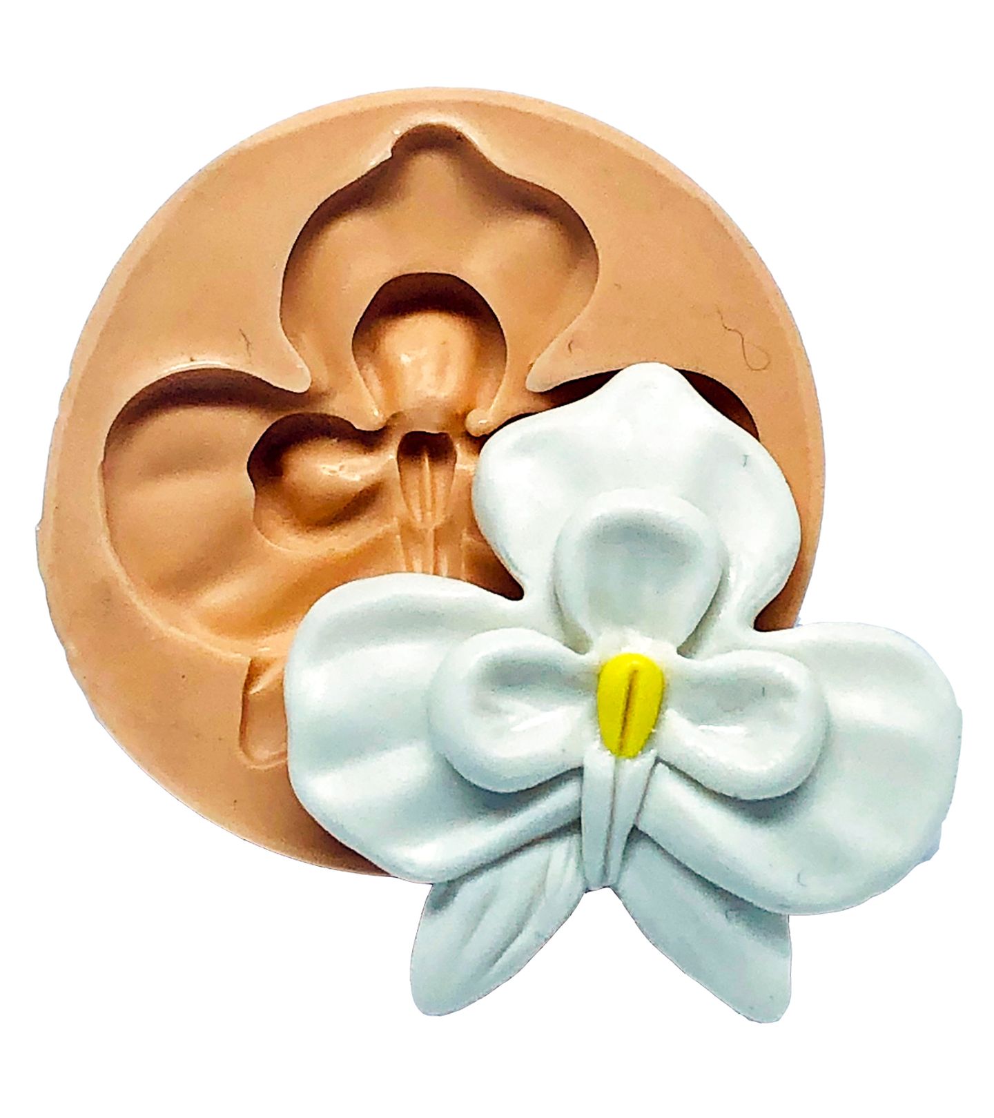 Flor - Orquidea Falenopsis - Grande - P764