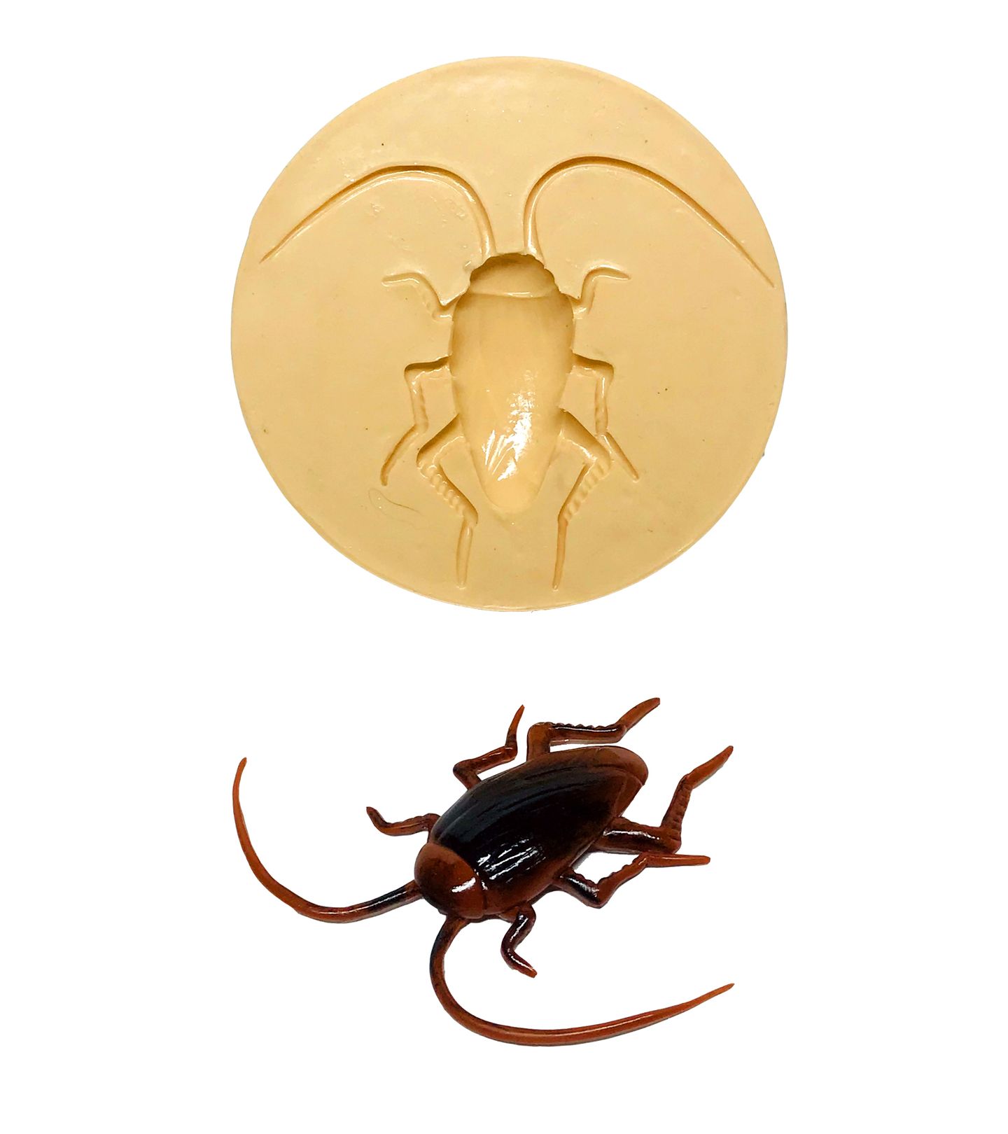 Barata - Grande - P615