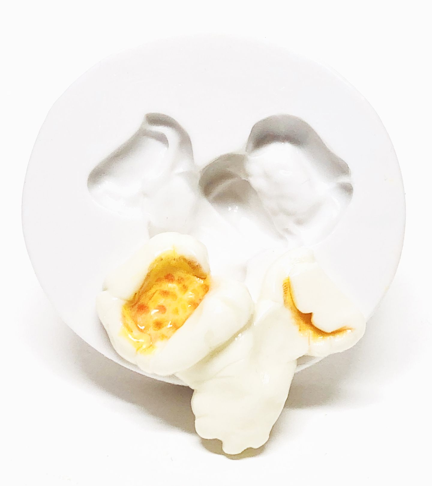 Pipoca - Grande - P1072