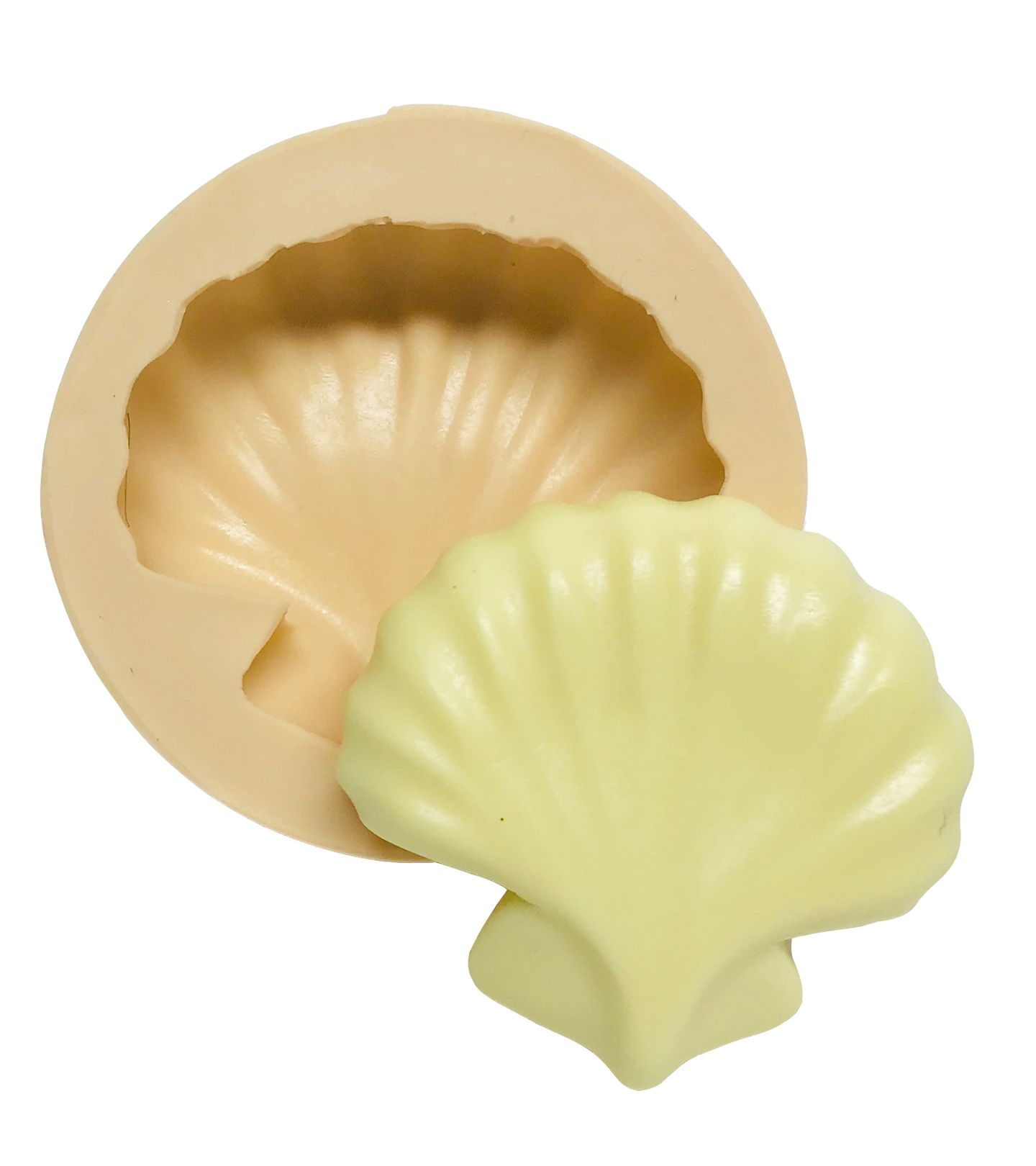 Concha - Media - P559