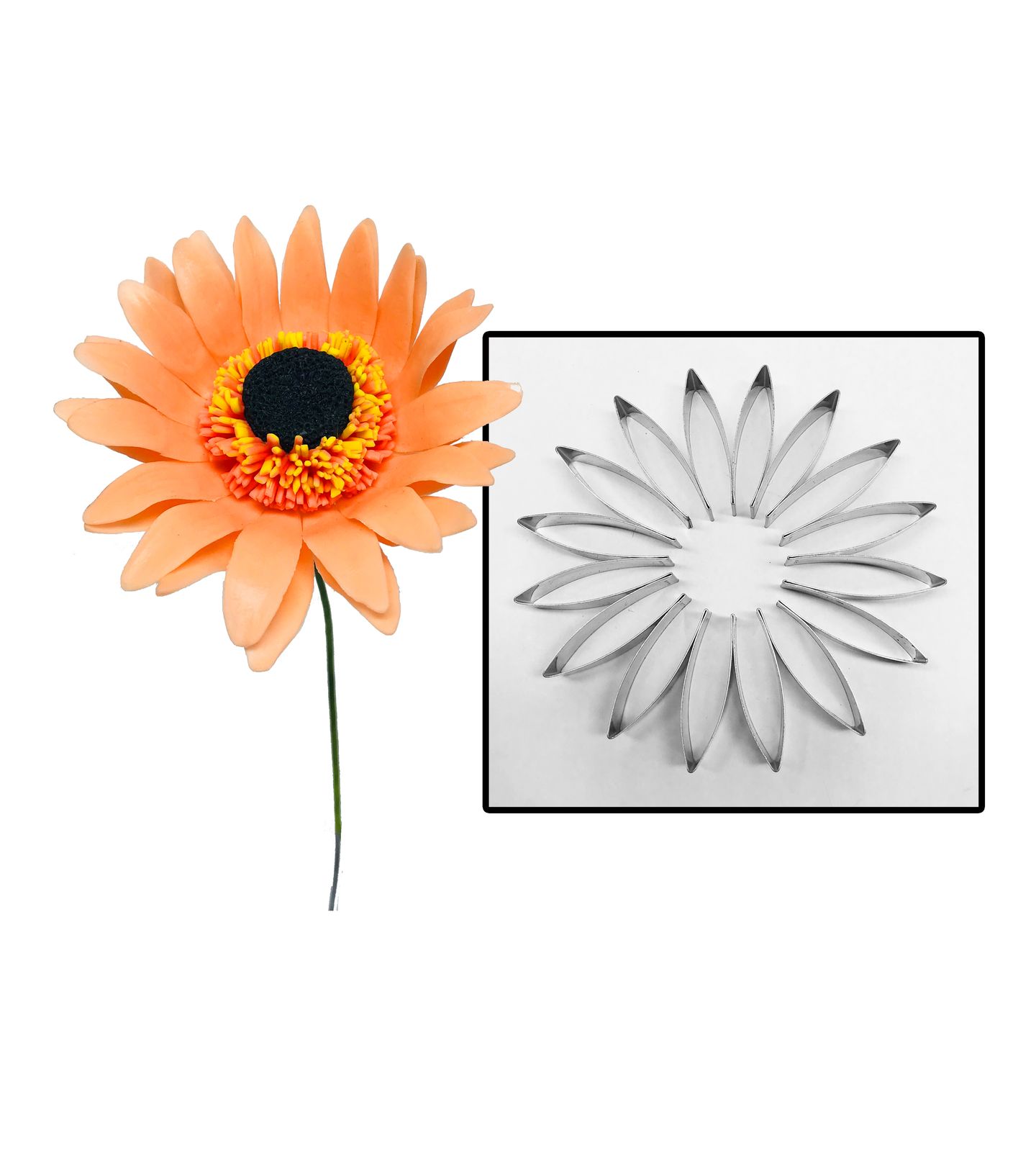 Cortador Aço - Flor - Margarida / Gerbera