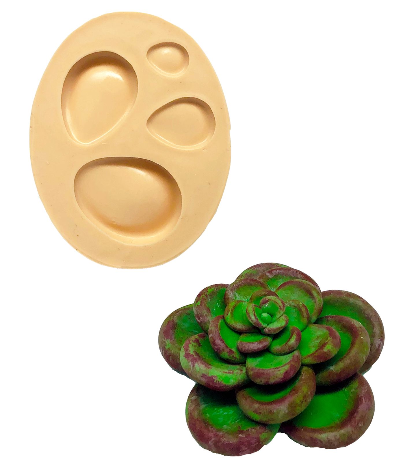 Suculenta - Mod.06 - P824