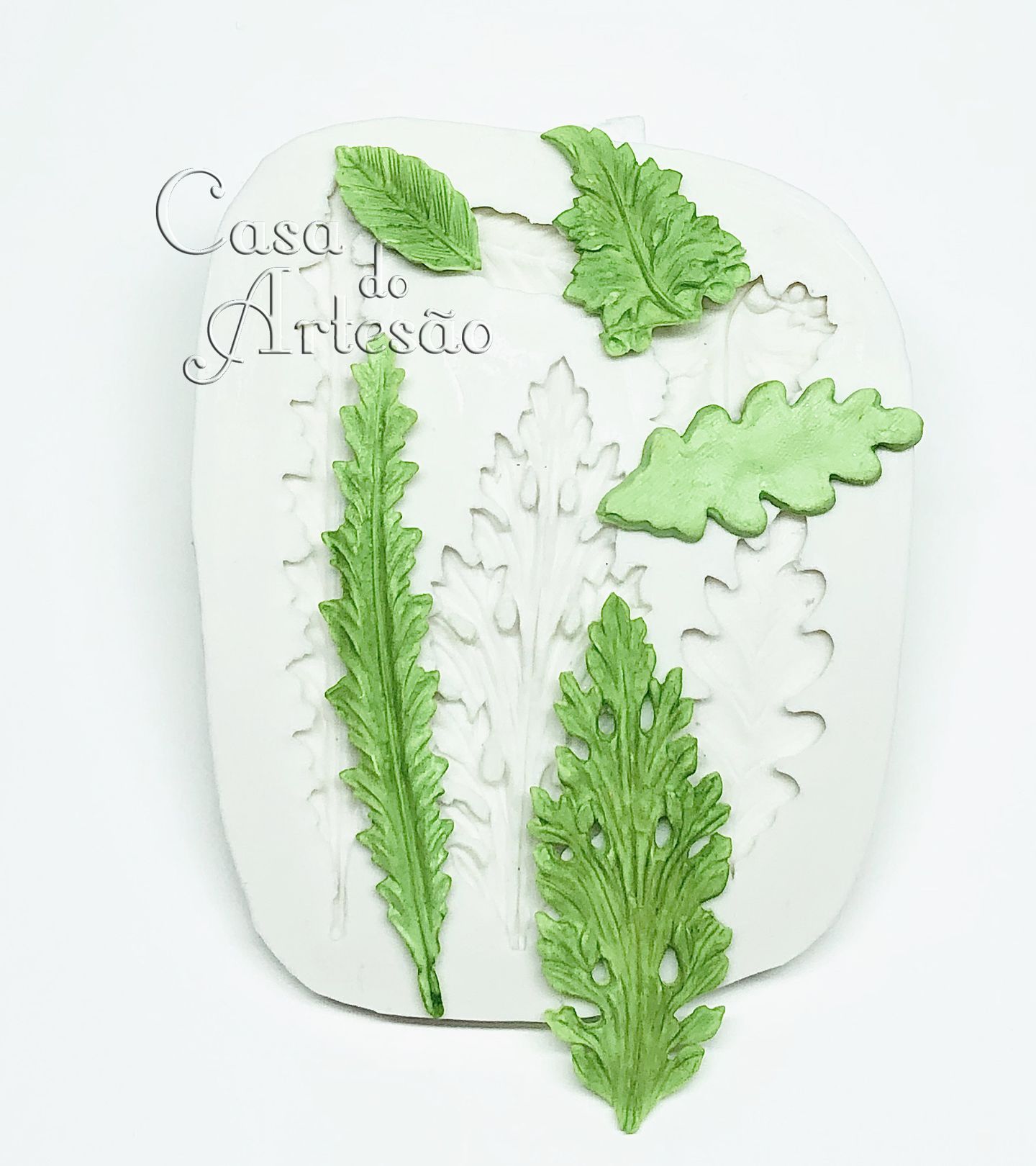 Folhagem Diversa - P881