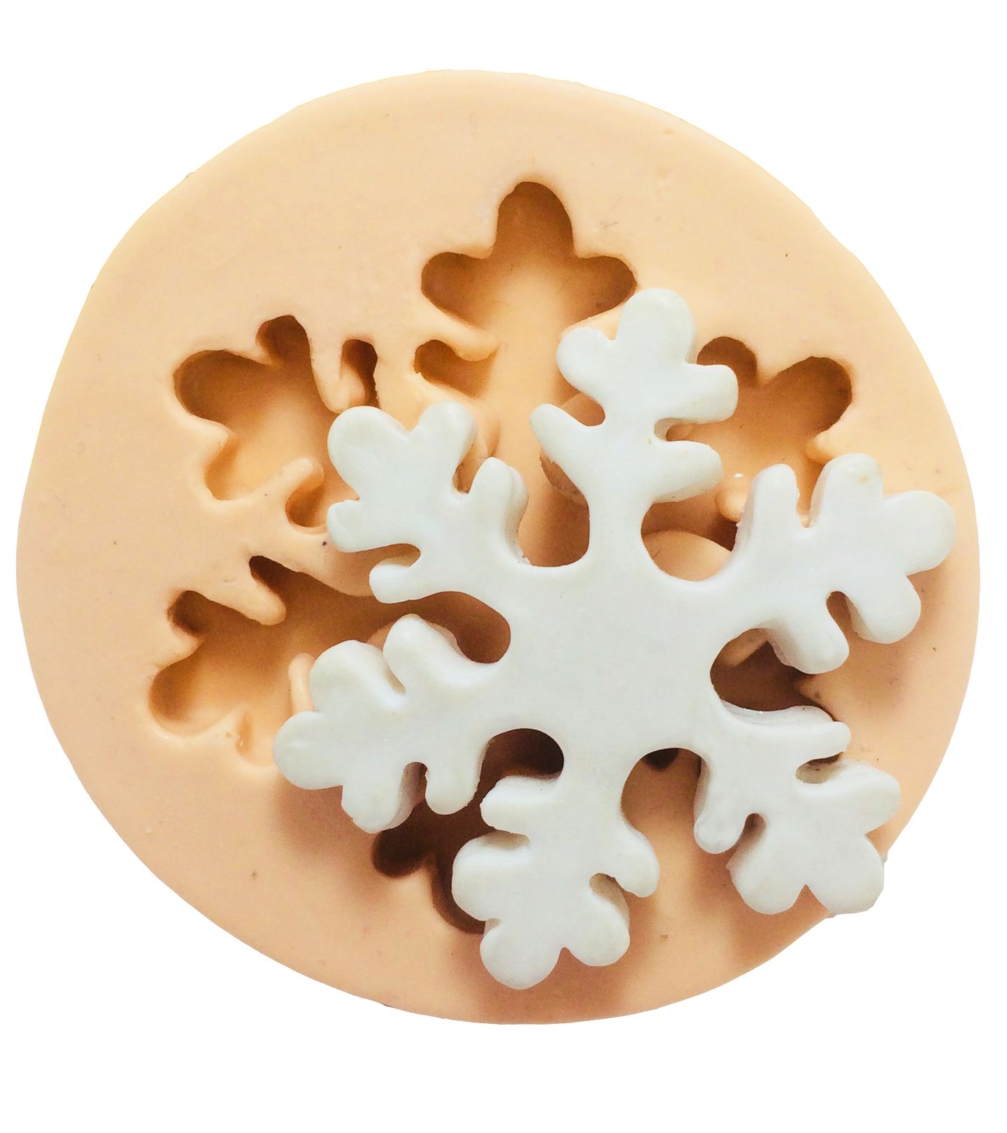 Flocos de Neve - Md - P196