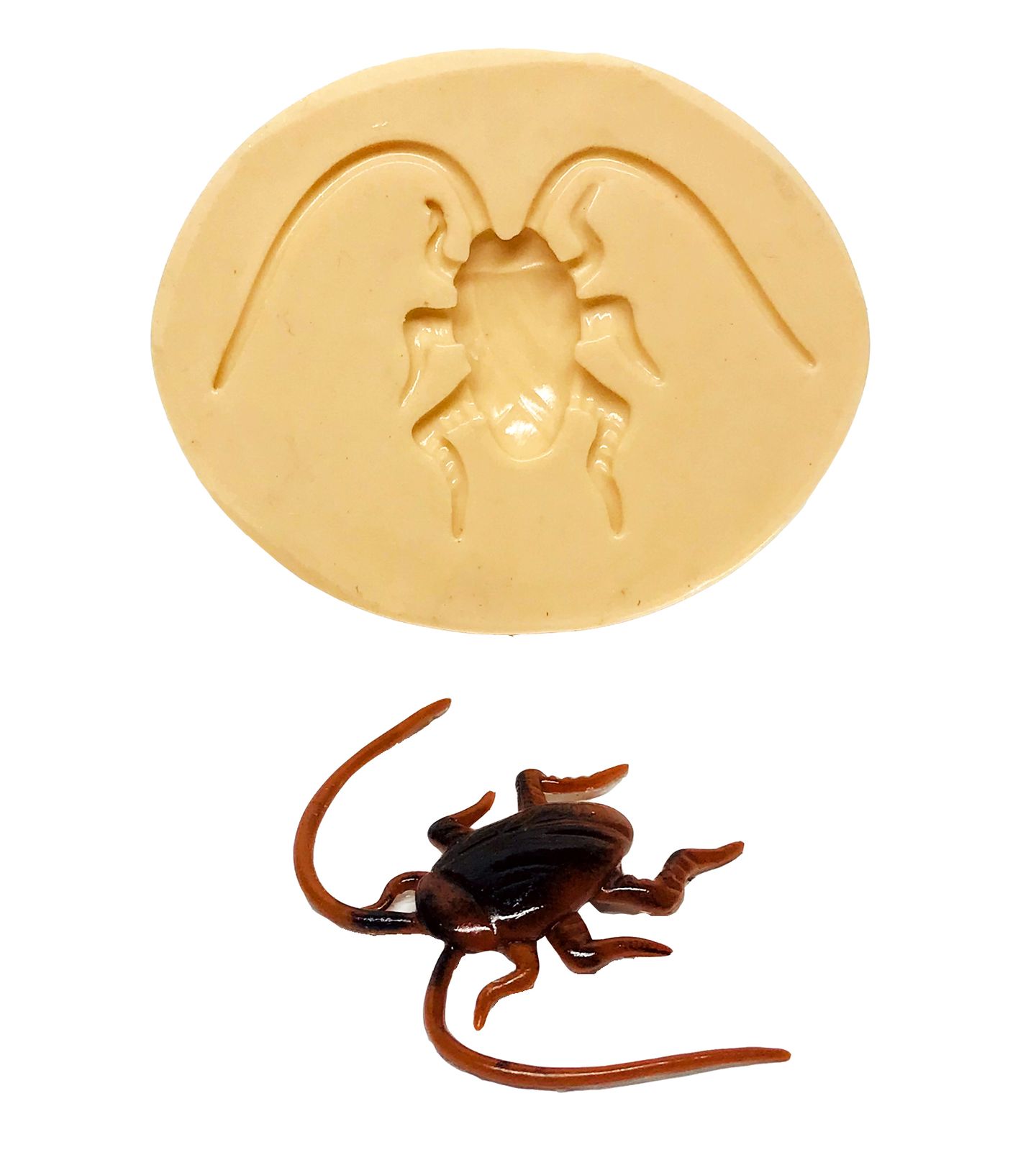 Barata - Pequeno - P616