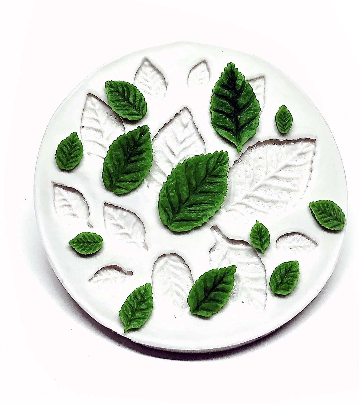 Folhas - 12 Tamanhos - P981