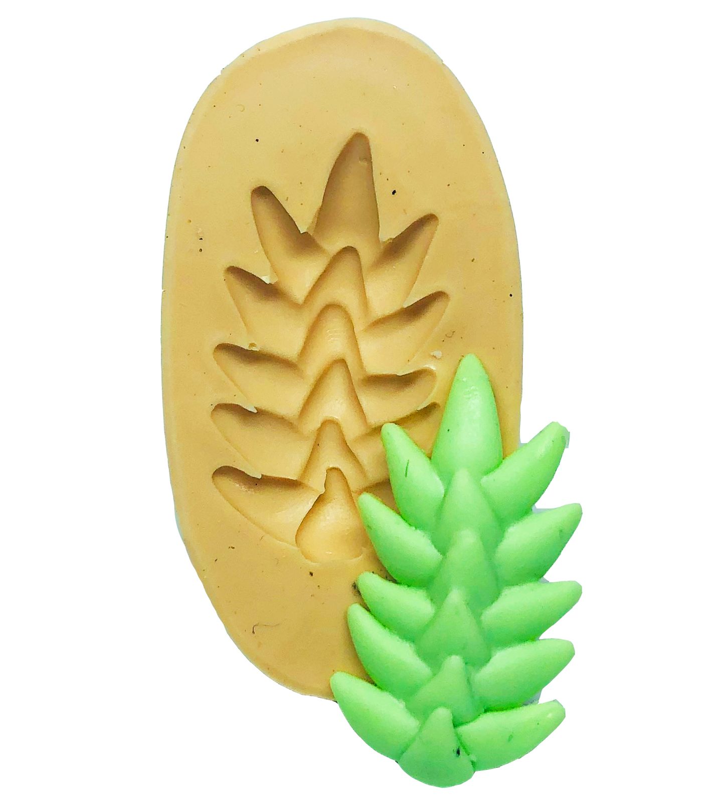 Suculenta - Rabo de Burro - Pequena - P740