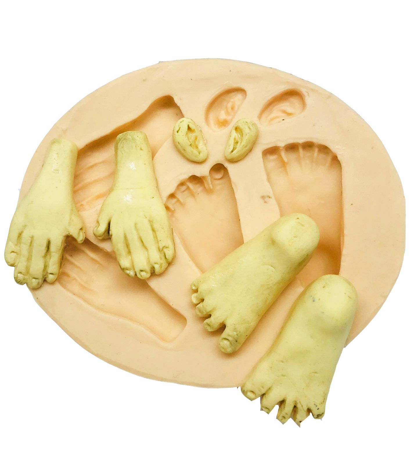 Mãos, Pés e Orelha