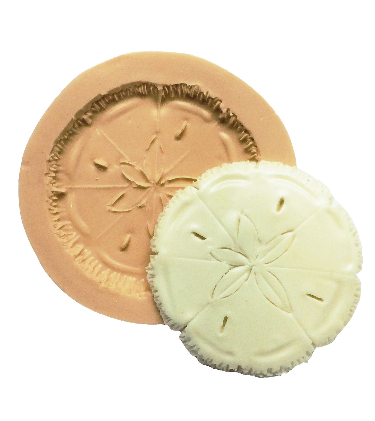 Bolacha do Mar - Grande - P360