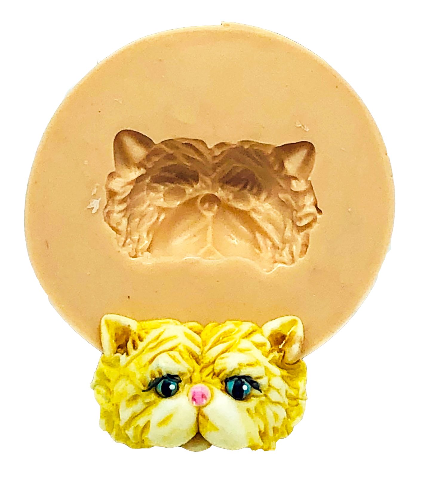 Gato - Rosto Persa - Pequeno - P833