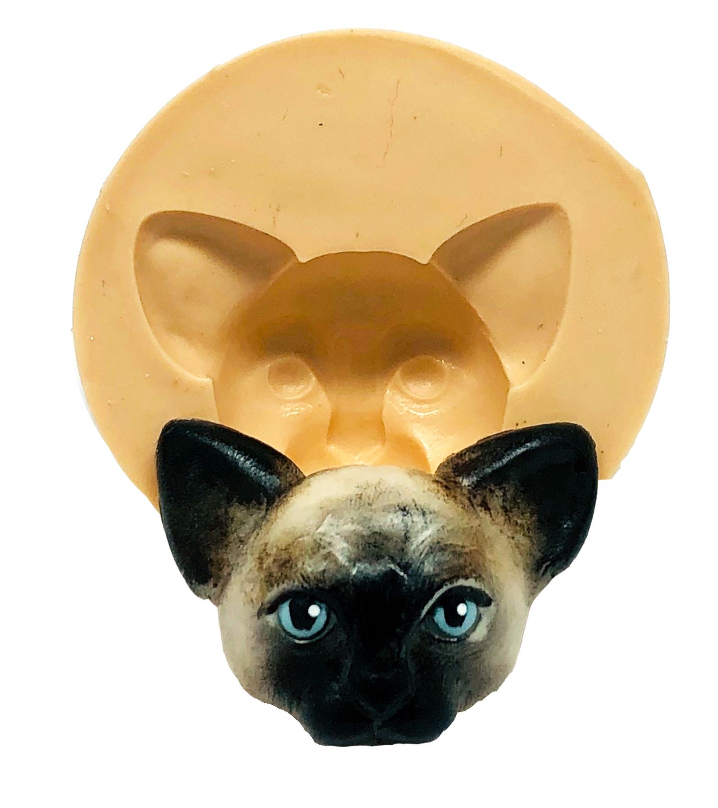 Gato - Rosto Siames - Medio - P844