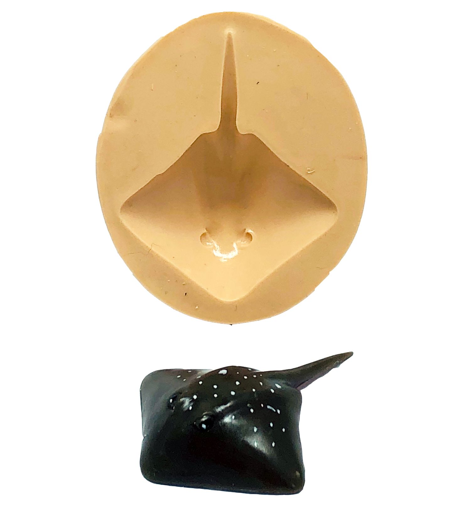 Mar - Arraia - Media - P803