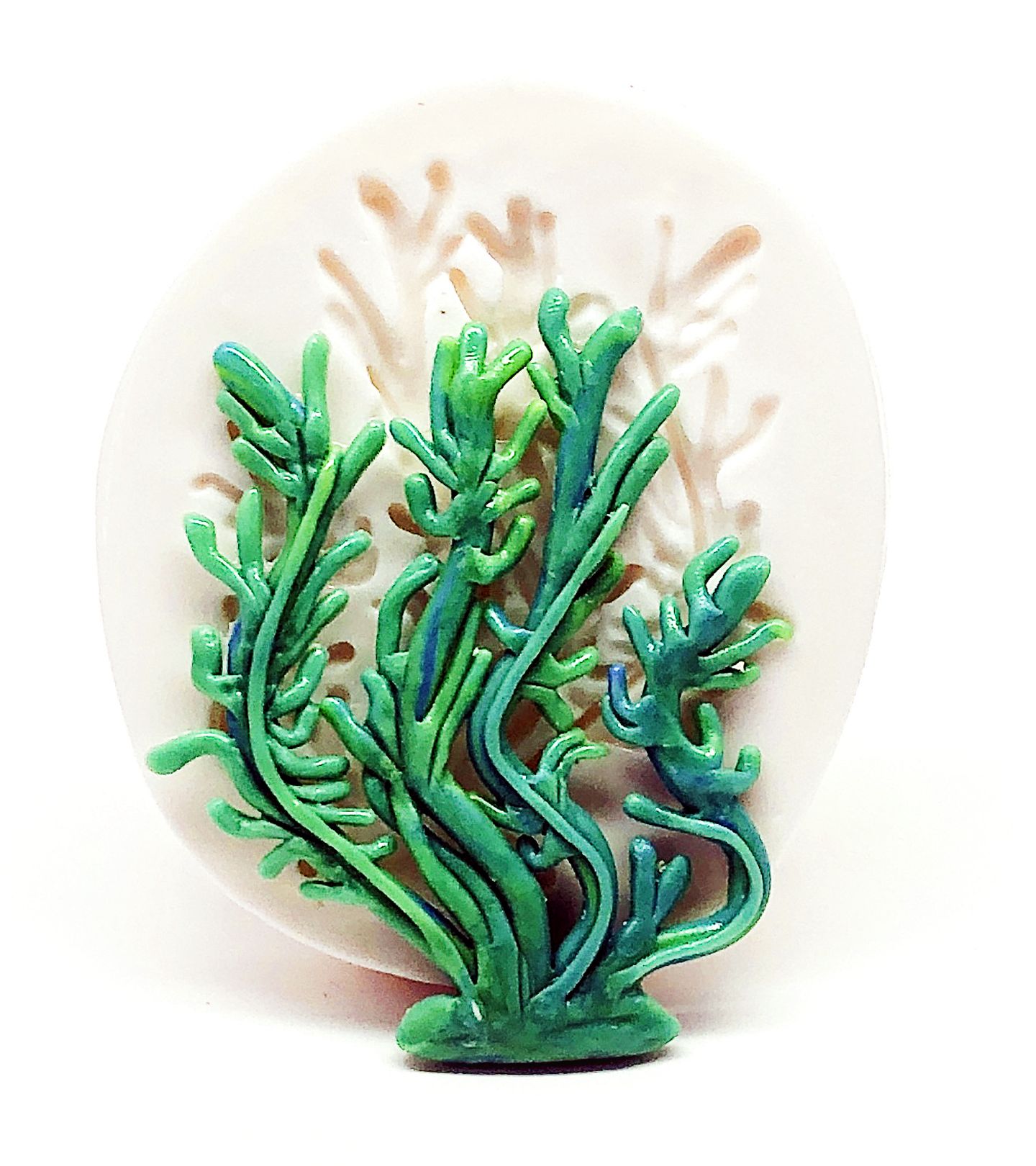 Alga Marinha - Grande - P406