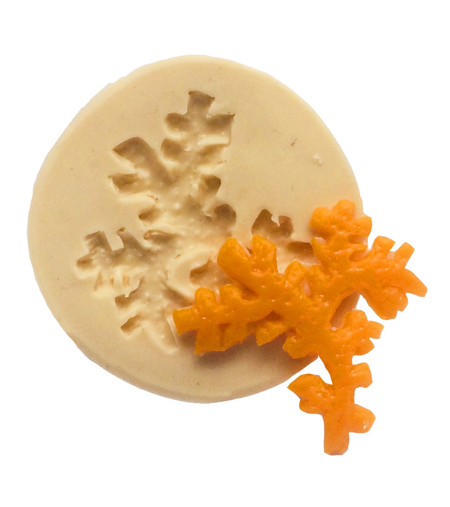 Algas - Pequena - P358